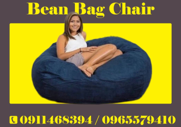 Bean Bag Chair with extra pillow