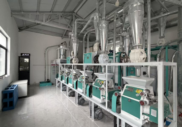 Complete 6-Piece Flour Milling Plant-25TPD