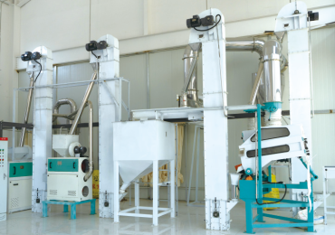 15TPD Corn Milling System – From Silo to Flour in One Smooth Flow!